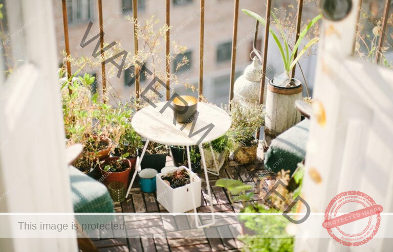 garden on terrace during daytime