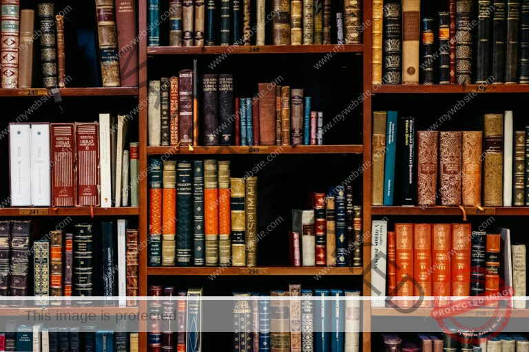 assorted-title of books piled in the shelves